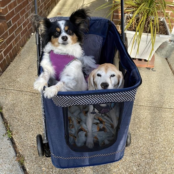 Dog Stroller Large Cat Pet Carriers Bag Travel 4 Wheels Folding Cage Pet Dog Stroller Jogger Cage Small Medium Cats Carrier