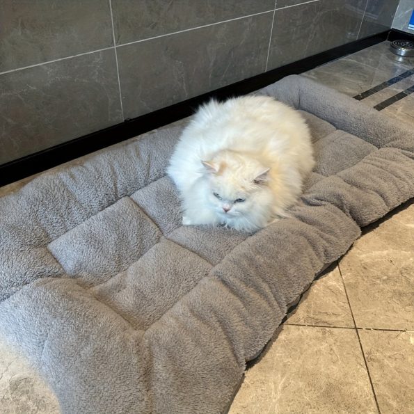 [Cozy Pet Bed] Reversible, Cozy Plush Pet Bed Mat for Cats & Dogs | All-Season, Dual-Sided Comfort, Polyester Fill, Ideal for Small to Large Pets, Durable, Quilted Pet Mat